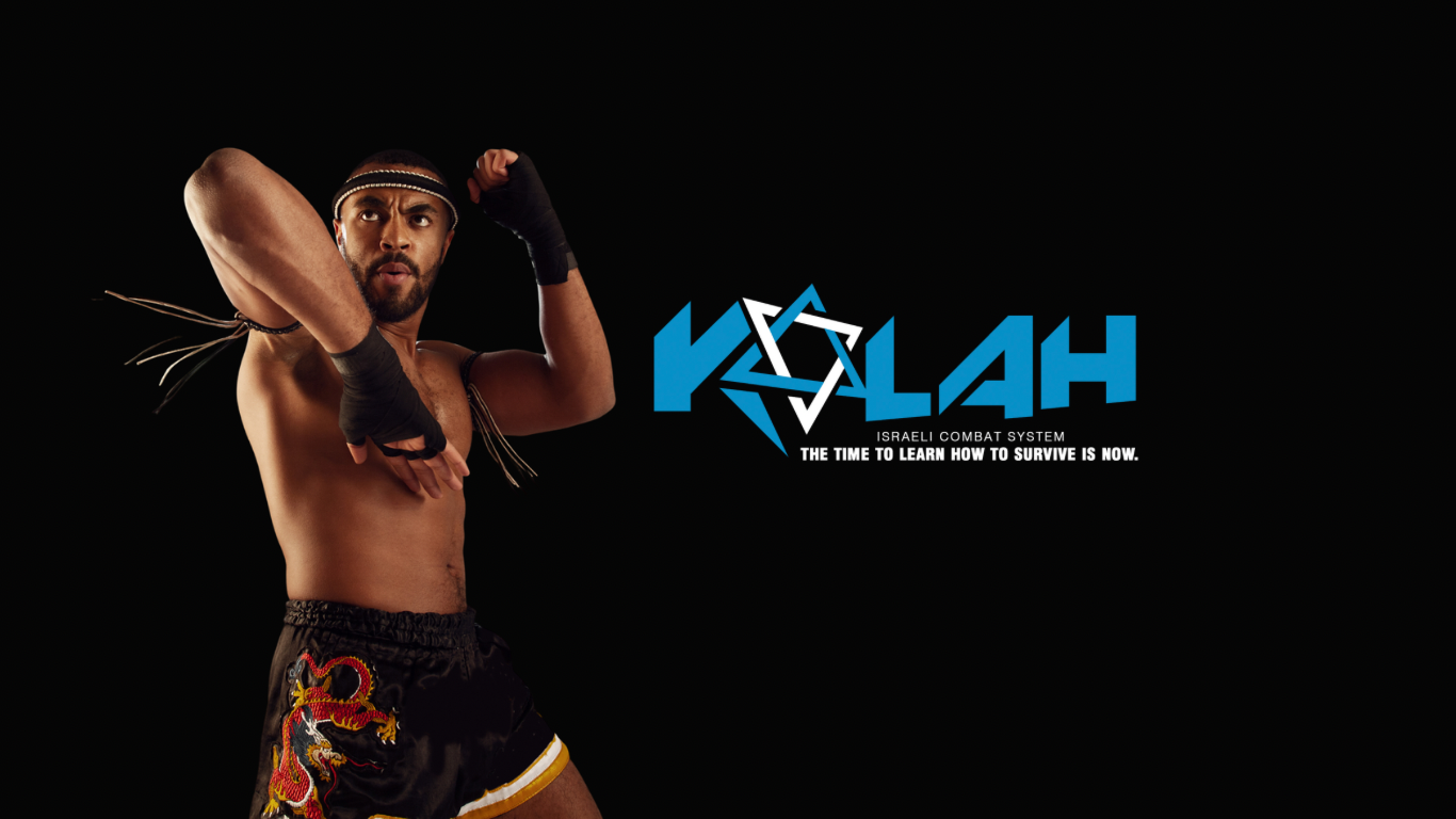 Artículos Kalah System México